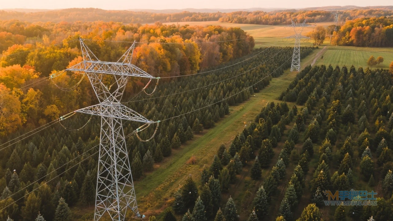 AI資料中心擴建掀爭議!聖誕樹農場主嘆景觀全毁 專家喊話:擁抱科技趨勢 - 手機巴士